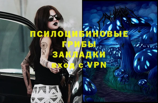 apvp Богородицк