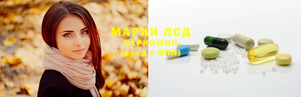 apvp Богородицк