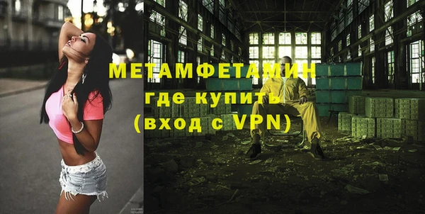 прущие грибы Бронницы