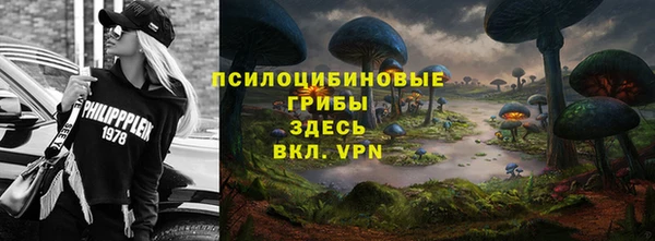 apvp Богородицк
