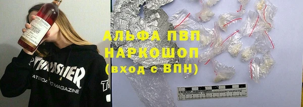 прущие грибы Бронницы